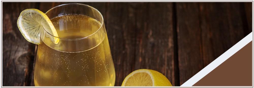 Bebidas fermentadas: propiedades y beneficios en el organismo